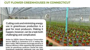 Screenshot of an article about greenhouses in connecticut