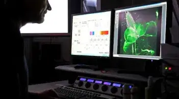 Researcher looking at computer screen