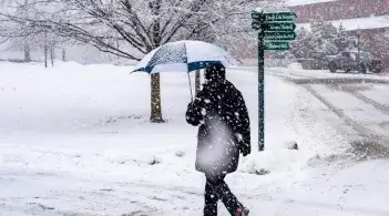 a person with an umbrella walks on a snowy sidewalk. Snow is falling and there is a tree and a snowy open space and building behind them
