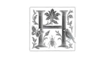 Hayden Galleries Logo