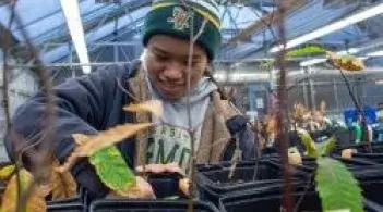 Graduate student Miriam Wolpert working indoors on tree planting