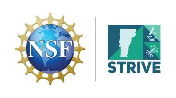 NSF and STRIVE Logos