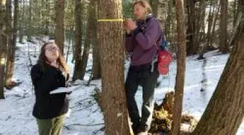 Two students in the snow measuring a tree