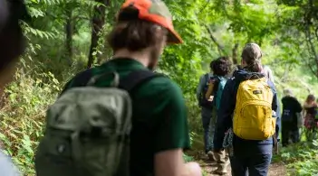 Students walking in forest