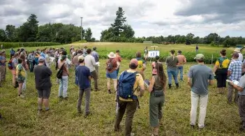 Crowd gathers in a field