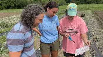 Two students and a teacher look at a document in a field