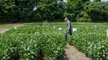 A man walks through a field