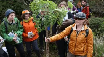 students in brightly colored raincoats gather around a small tree in the rainforest