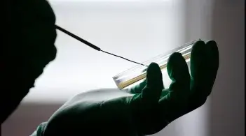 Clinician swabbing a petri dish 
