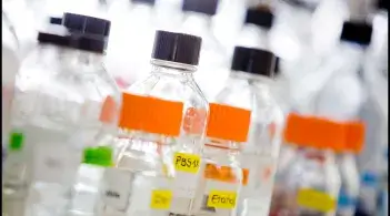 Viles lined up on counter, with orange labels. 
