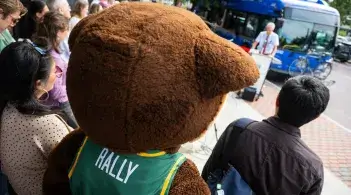 Rally Cat stands in a crowd waiting for a public transit bus