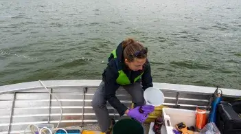 Missisquoi Bay buoy field work
