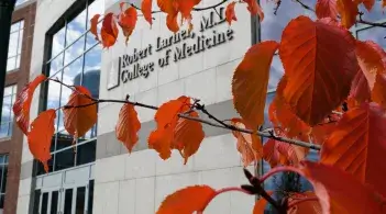 red leafed tree in front of a building