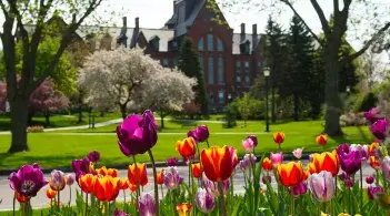 University of Vermont campus in spring with blooms of tulips