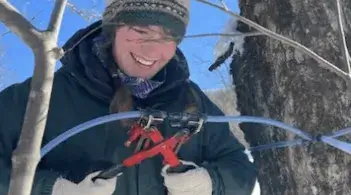 a student in winter gear connecting tubing to a maple tree