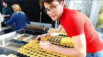 a person in a bright red shirt bending over a tray of potted seedlings in a greenhouse