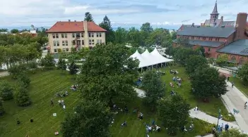 social on the green
