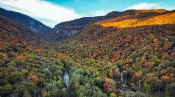 Scenic Vermont foliage 