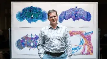 Davi Bock standing in front of four fruit fly brain mapping images