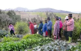 Group of farmers in Ecuador in field
