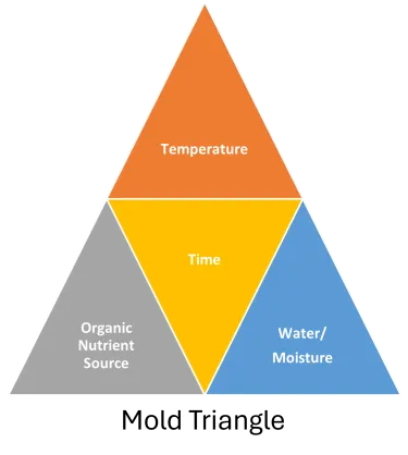 Mold Triangle with Temperature at the top and Organic nutrient source, time, and water/moisture across the bottom