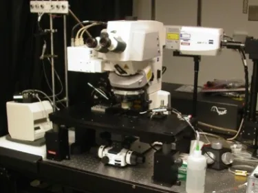 Zeiss LSM-7 Multiphoton