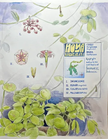 Student drawing