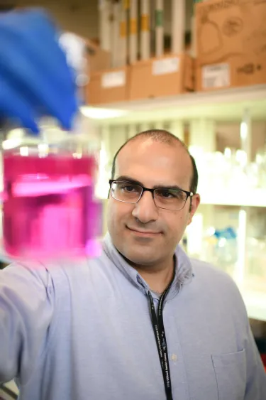 Mel Symeonides looks at a beaker containing pink fluid in his lab