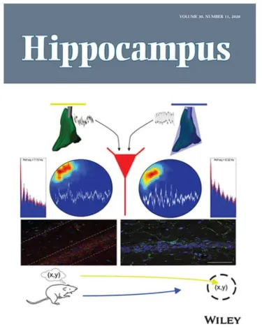 Journal Cover of Wiley - Hippocampus