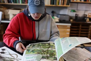a young woman looking down at a pressed plant specimen in a lab