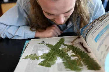 a young man looking down at a pressed plant specimen in a lab