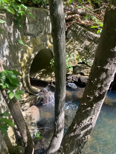 Storm drainpipe overseen by Lexington DPW