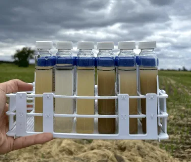 Water samples