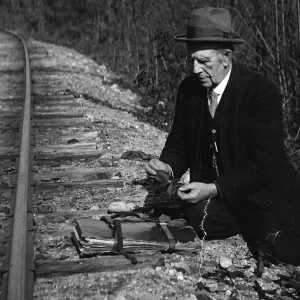 Brainerd pressing plants by railroad tracks
