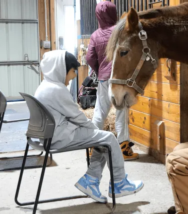 A child laughs in glee as a horse leans into him.