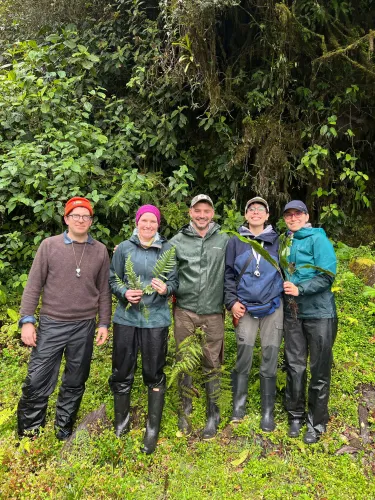 A group of fern collectors collecting ferns in the Andes