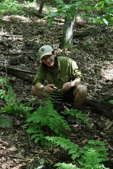 A man planting native species
