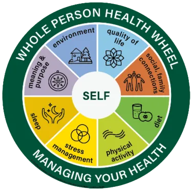 UVM Whole Person Health Wheel
