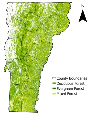 A map of Vermont illustrating the primary forest cover types: deciduous, evergreen, and mixed forests. Deciduous and mixed forests dominate most of the state, while evergreen forests are primarily concentrated at higher elevations in the Green Mountains.