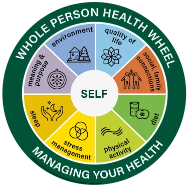 Whole Person Health Wheel PNG