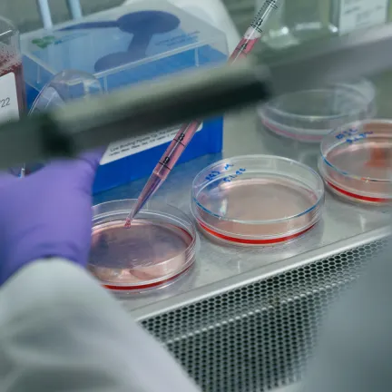 Doing an experiment in the lab.