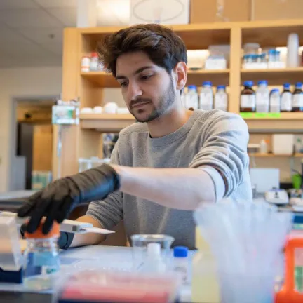 A student uses a pipette in a lab