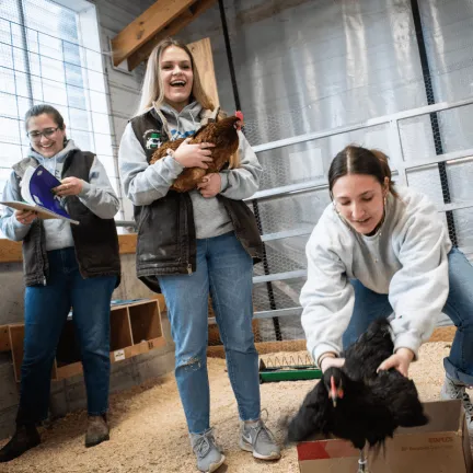 3 girls holding chickens