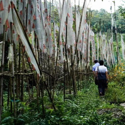 People walking in field in Sikkim, India