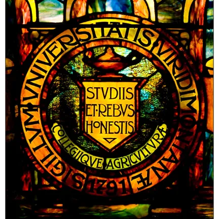 The university seal represented in stained glass.
