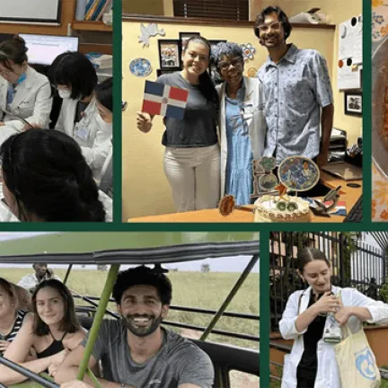 students participating in global health at Larner