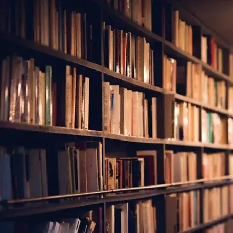 shelves filled with books