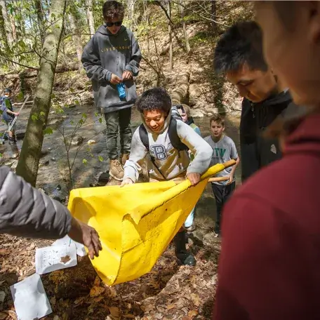 a group of kids doing research in the woods