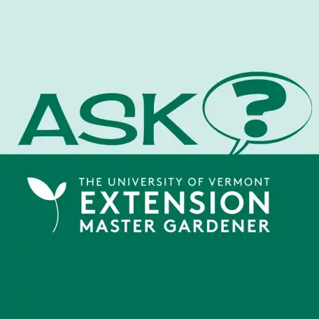 Ask an extension master gardener