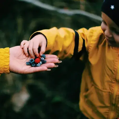 young child reaching for berries in an adult's outstretched hand